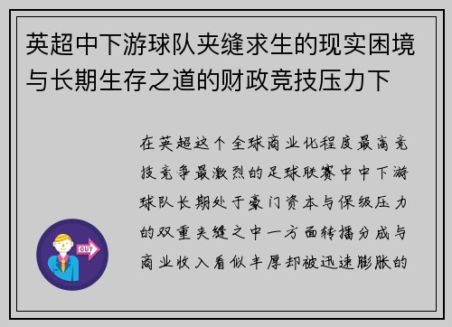 英超中下游球队夹缝求生的现实困境与长期生存之道的财政竞技压力下